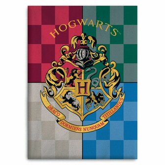 HARRY POTTER - Hogwarts - Polar Plaid 100% Microfiber - 70x140cm