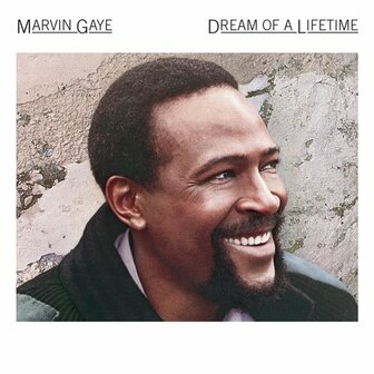 Dream Of A Lifetime Marvin Gay