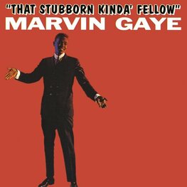 That Stubborn Kinda' Fellow Marvin Gay